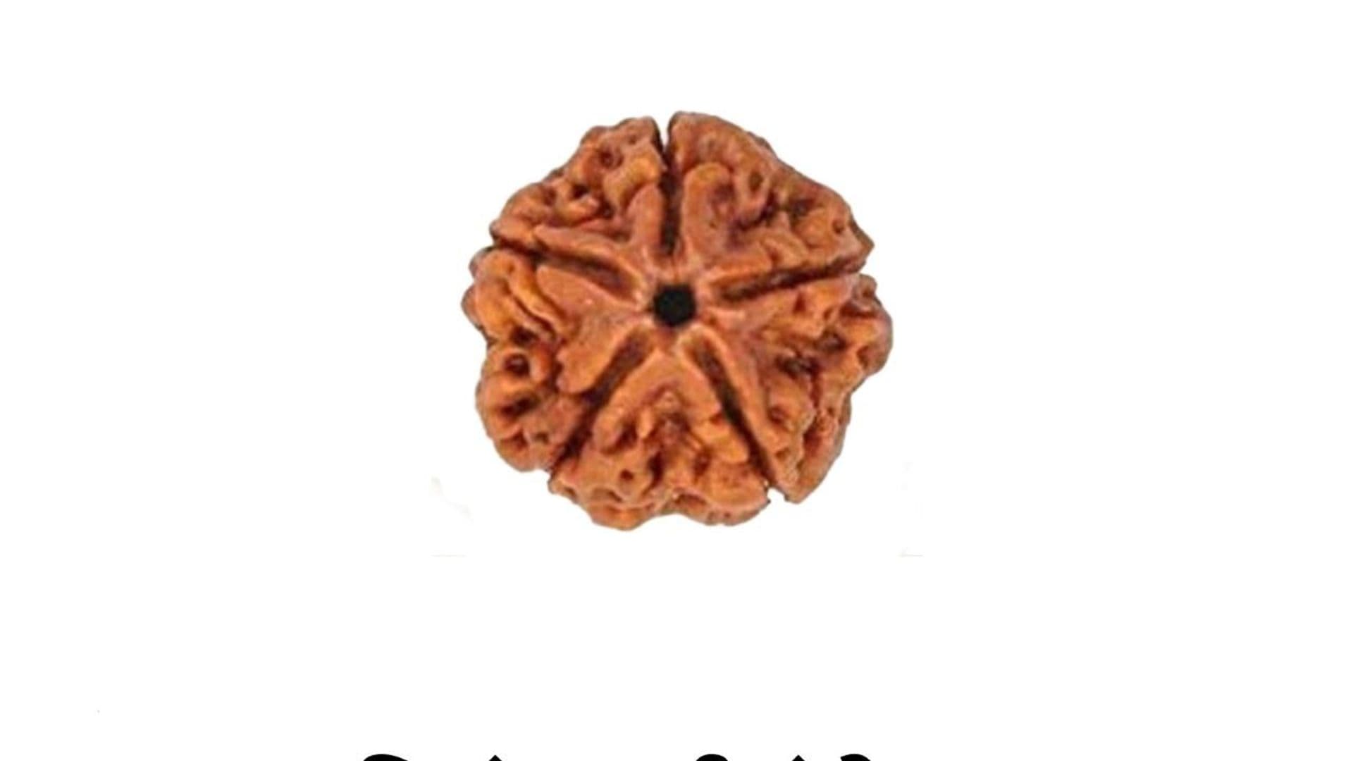 कालाग्नि पंचमुखी रुद्राक्ष (चांदी)