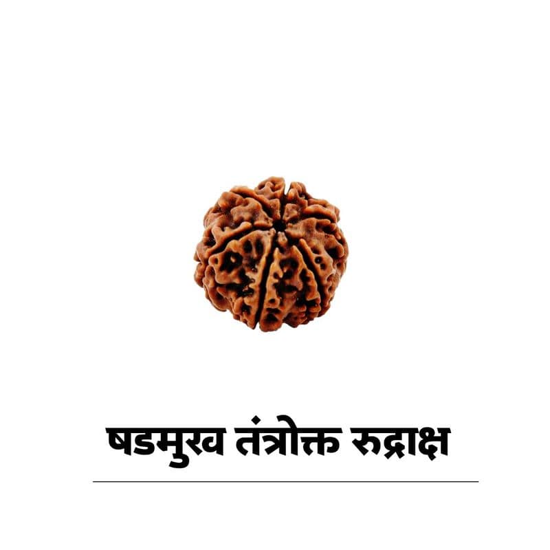 षडमुख कार्तिकेय रुद्राक्ष